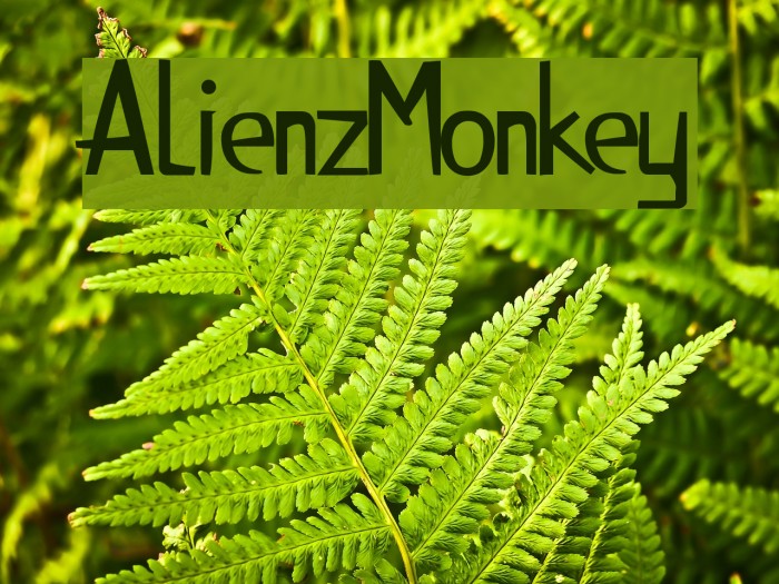 AlienzMonkey Example 3