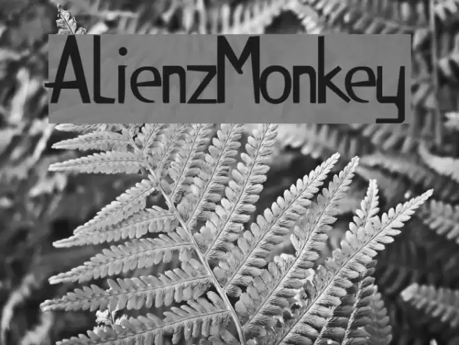 AlienzMonkey Font examples