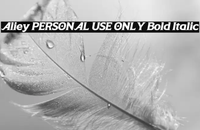 Aliey PERSONAL USE ONLY Bold Italic Font examples