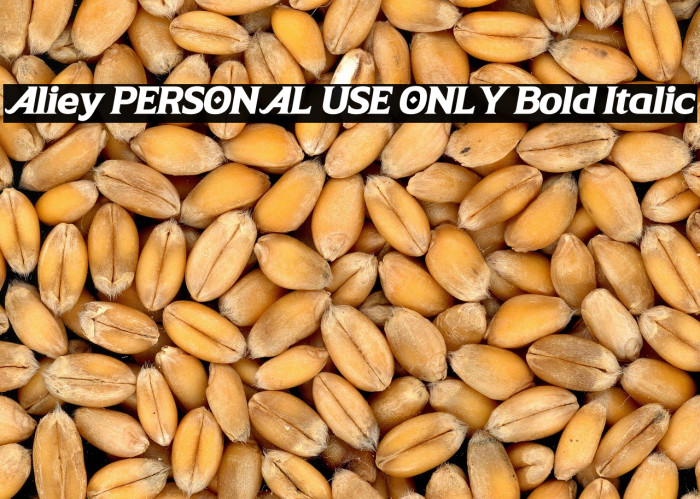 Aliey PERSONAL USE ONLY Bold Italic Example 3