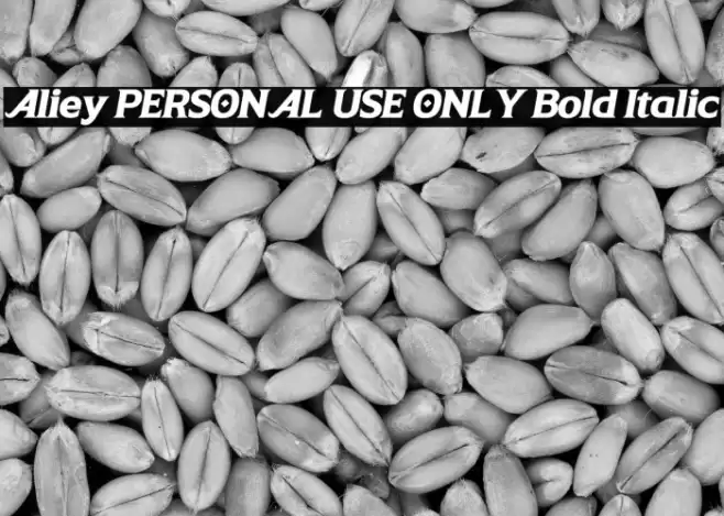 Aliey PERSONAL USE ONLY Bold Italic Font examples