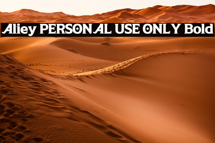 Aliey PERSONAL USE ONLY Bold Example 1