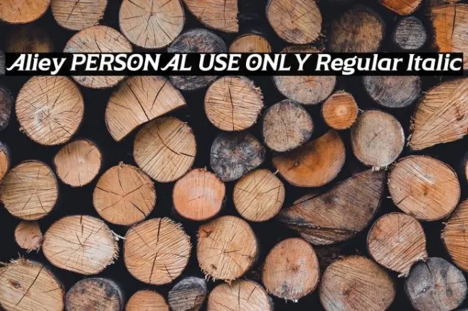 Aliey PERSONAL USE ONLY Regular Italic Example 2