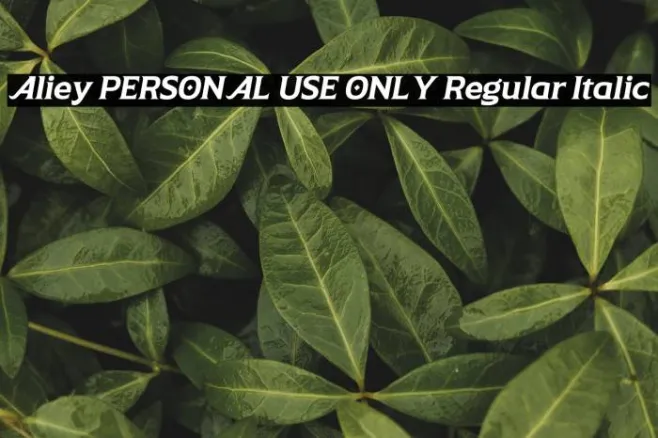Aliey PERSONAL USE ONLY Regular Italic Example 3