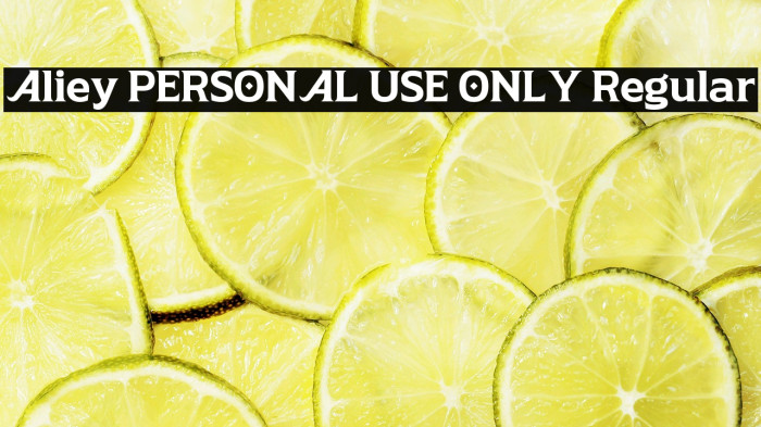 Aliey PERSONAL USE ONLY Regular Example 1