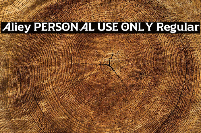 Aliey PERSONAL USE ONLY Regular Example 2