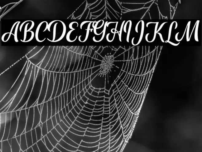 Aliffah Font examples