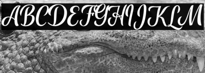 Aliffah Font examples