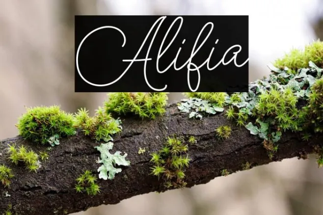 Alifia Example 2