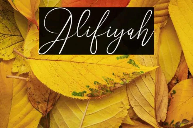 Alifiyah Example 2