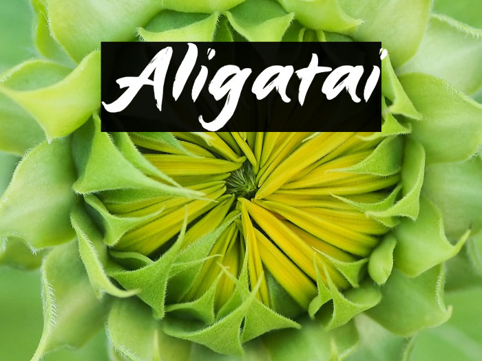 Aligatai Example 1
