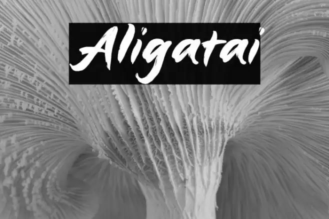 Aligatai Font examples