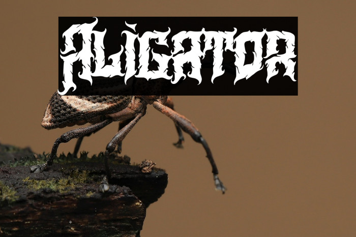 Aligator Example 1
