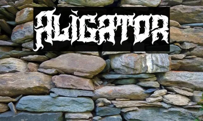 Aligator Example 2