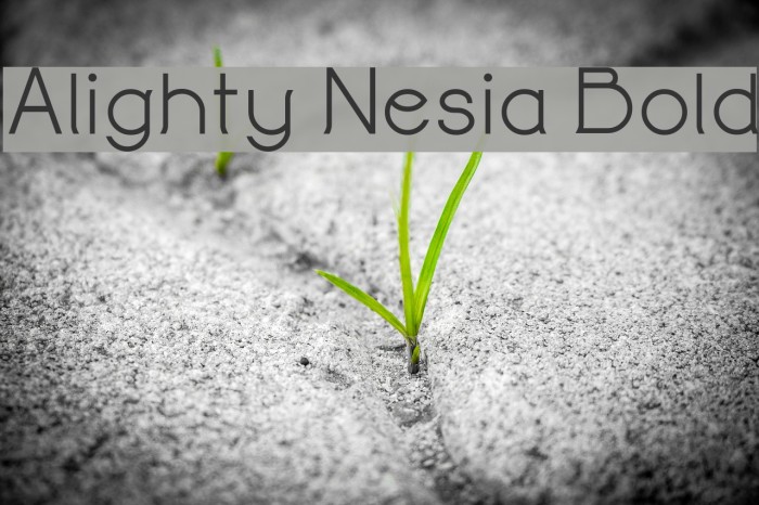 Alighty Nesia Bold Font examples