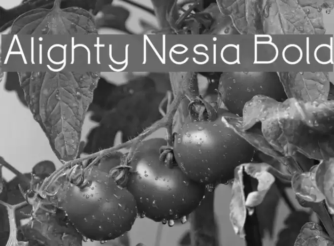 Alighty Nesia Bold Font examples