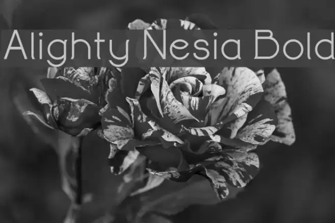 Alighty Nesia Bold Font examples