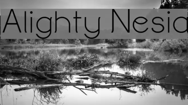 Alighty Nesia Font examples