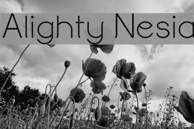 Alighty Nesia Font examples