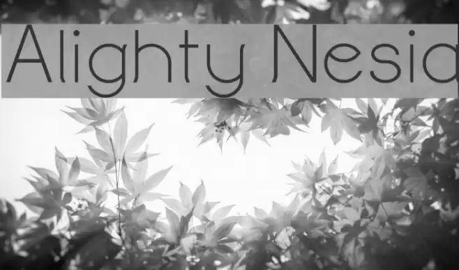 Alighty Nesia Font examples