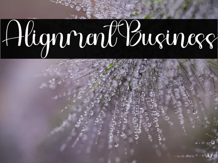Alignment Business Example 2