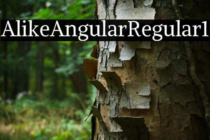 Alike Angular Regular1 Example 2