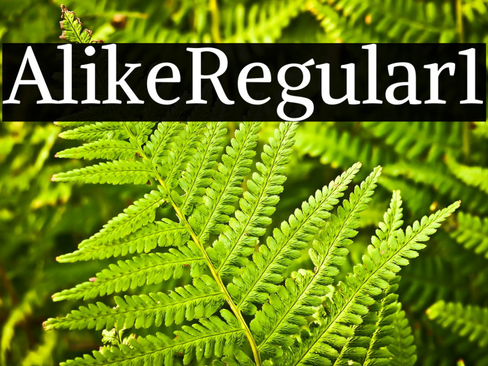 Alike Regular1 Example 3