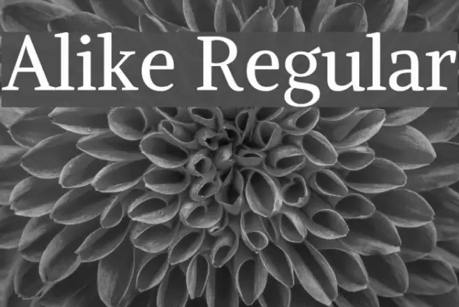 Alike Regular examples