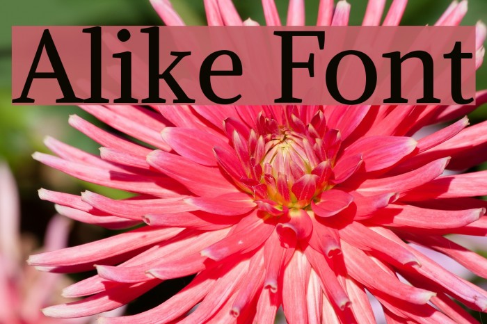 Alike Font examples