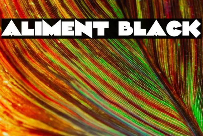 Aliment Black Example 1