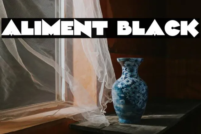 Aliment Black Example 2