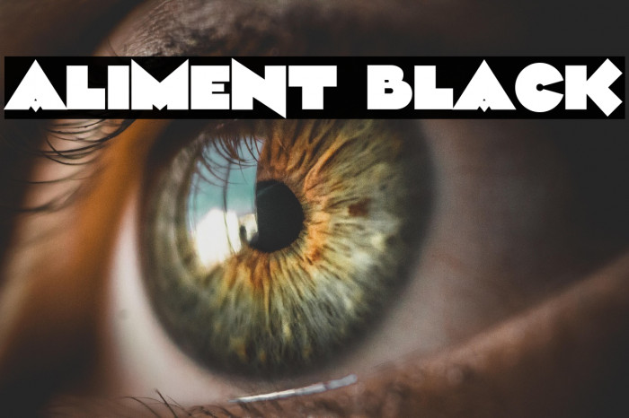 Aliment Black Example 3