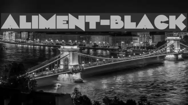 Aliment-Black Font examples