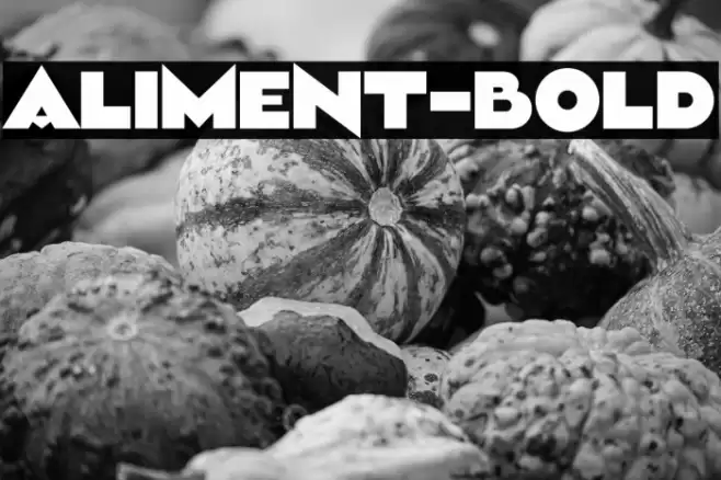 Aliment-Bold Font examples