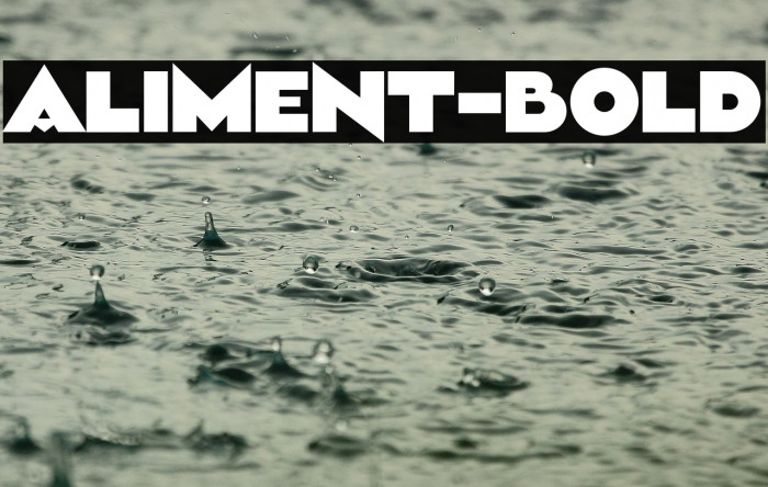 Aliment-Bold Example 3