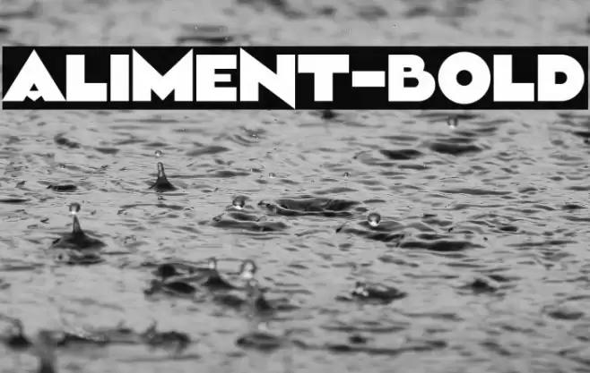 Aliment-Bold Font examples