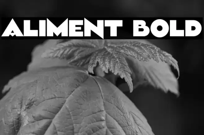 Aliment Bold Font examples