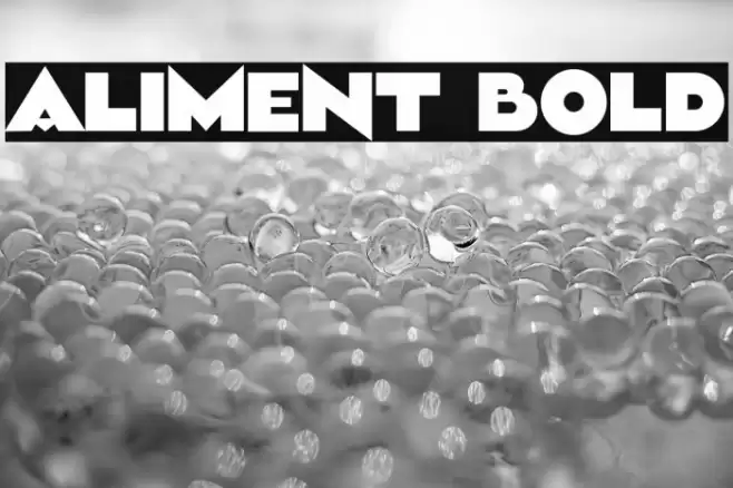 Aliment Bold Font examples