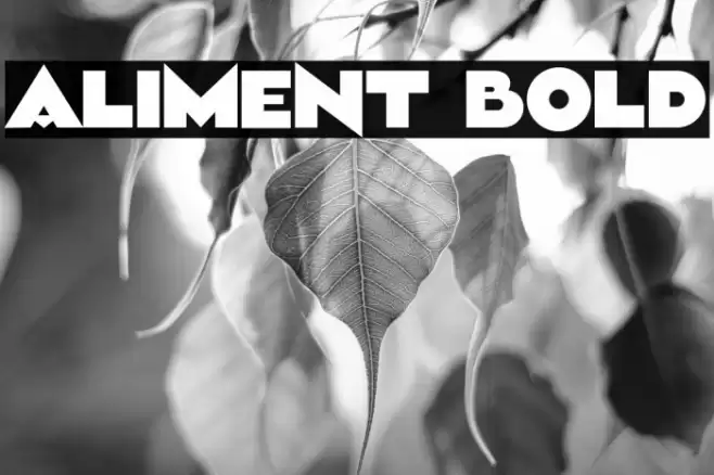 Aliment Bold Font examples