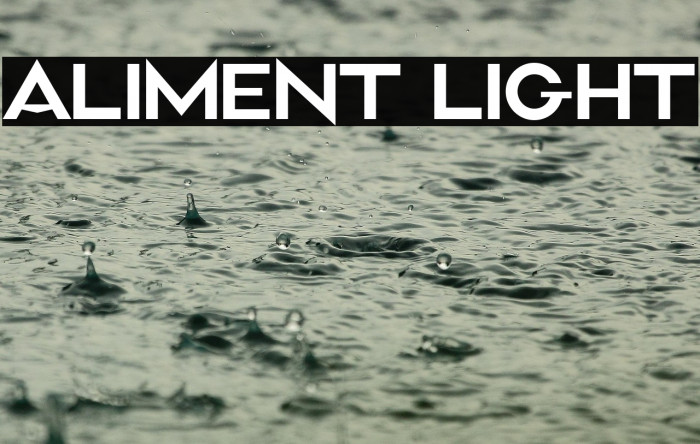 Aliment Light Example 1