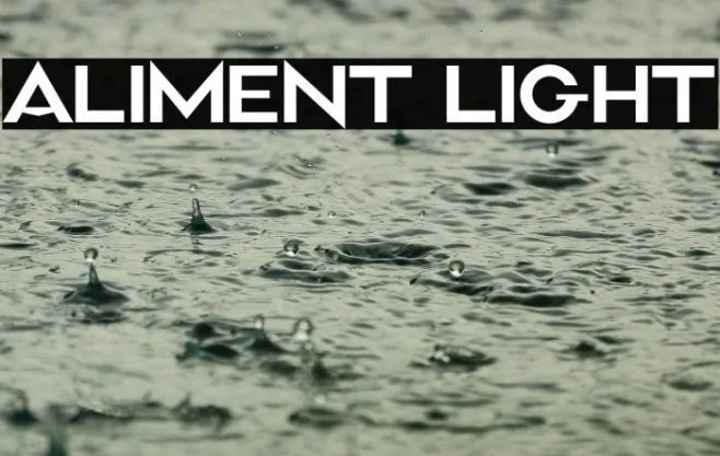 Aliment Light Example 1
