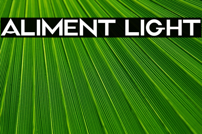 Aliment Light Example 2