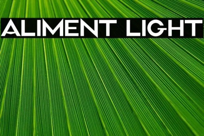 Aliment Light Example 2