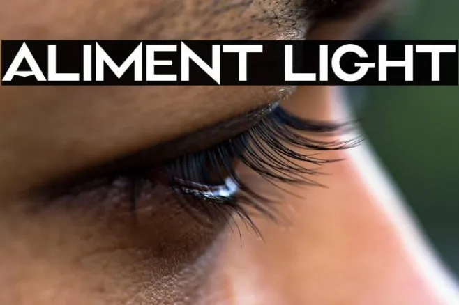 Aliment Light Example 3