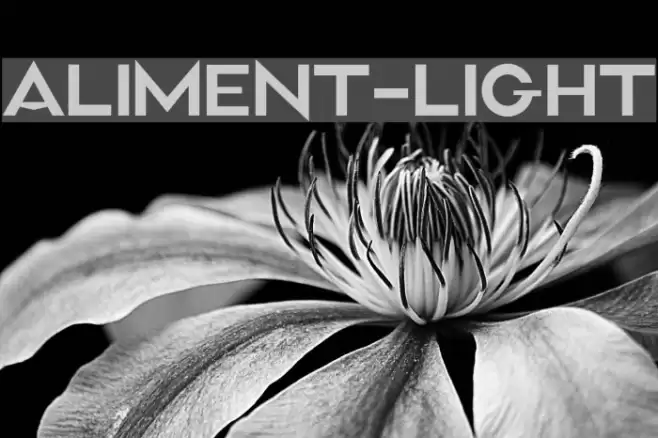 Aliment-Light Font examples