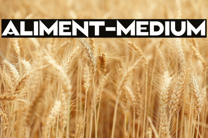 Aliment-Medium Example 2