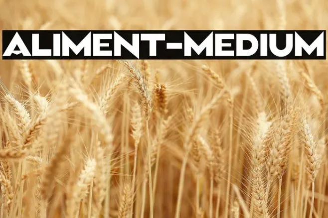 Aliment-Medium Example 2