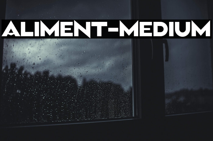 Aliment-Medium Example 3