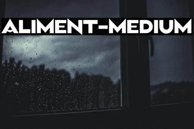 Aliment-Medium Example 3