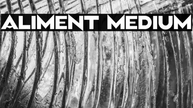 Aliment Medium Font examples